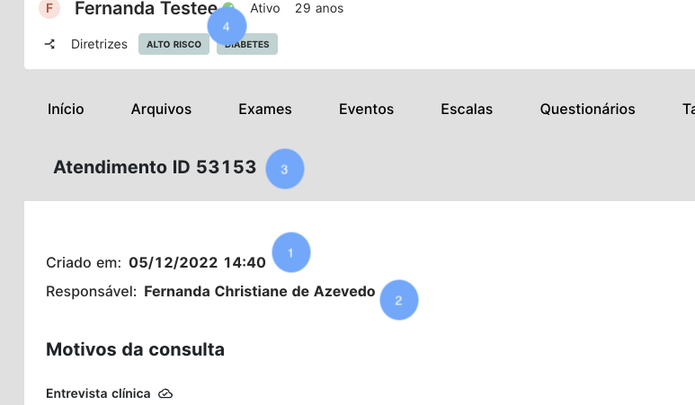 Tela de visualização de atendimento